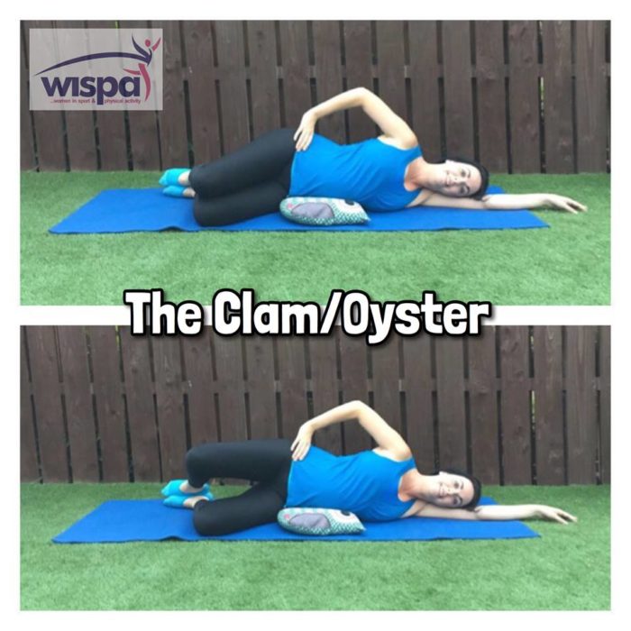 The ClamOyster